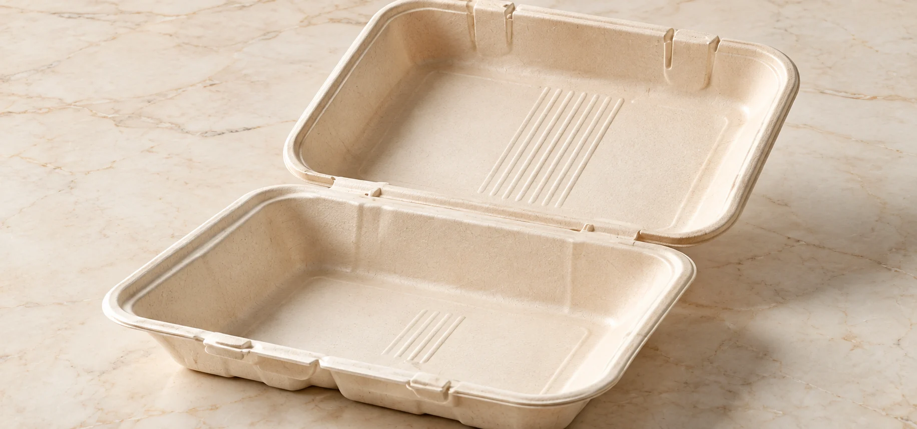 8-inch single-compartment bagasse clamshell with hinged lid, open with no dividers